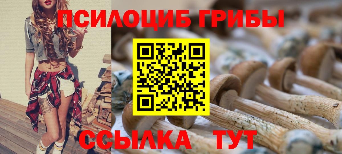 Псилоцибиновые грибы Psilocybe  купить   Кулебаки  Галлюциногенные грибы MAGIC MUSHROOMS  Вход с VPN 
