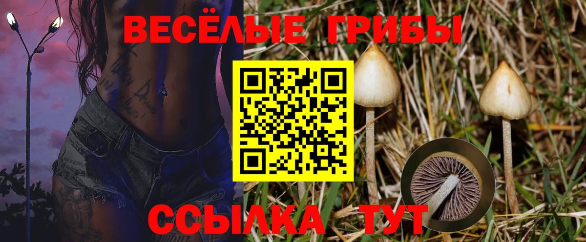 Псилоцибиновые грибы MAGIC MUSHROOMS Кулебаки